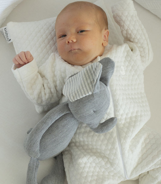 Caja peluche elefante con mini almohada