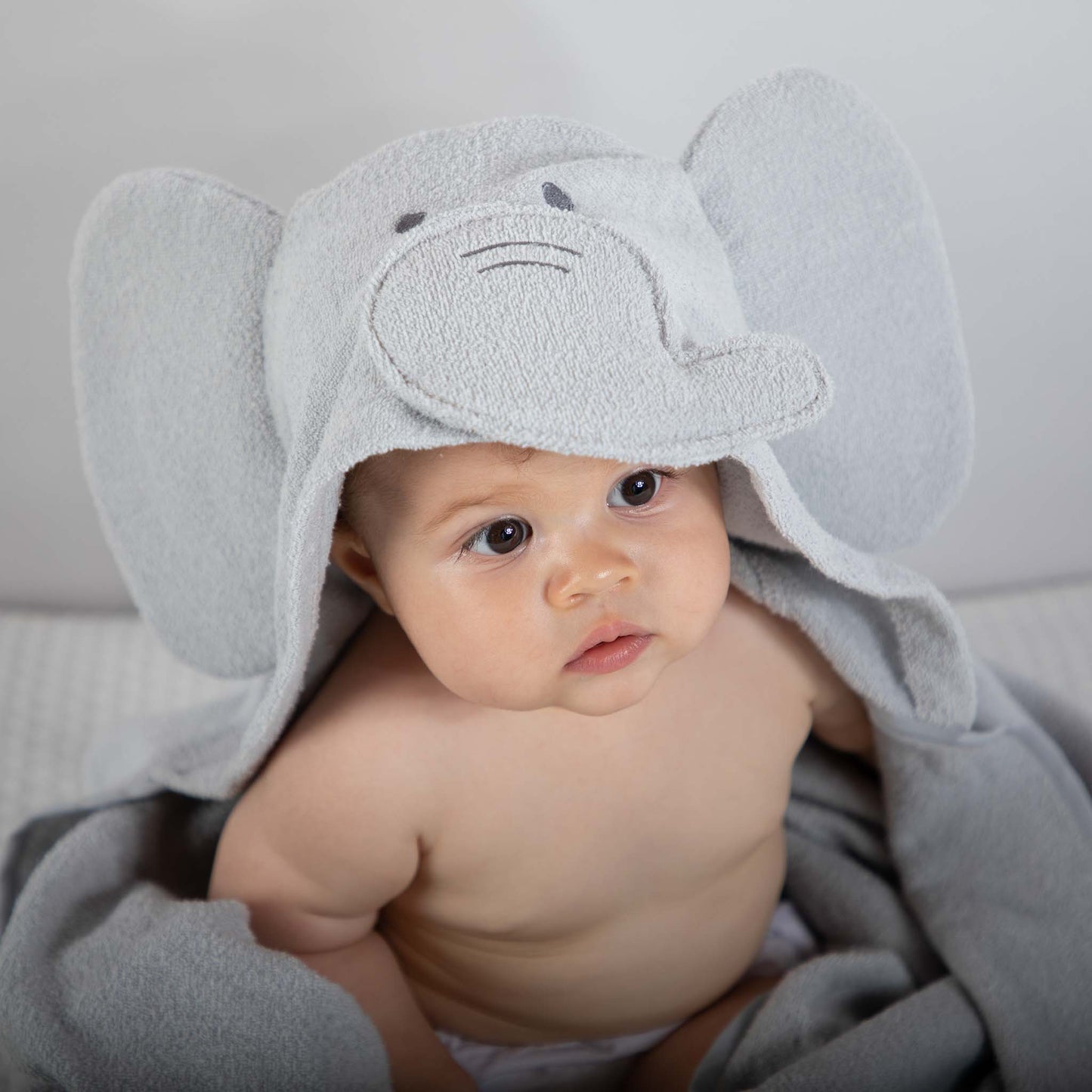 Toalla Elefante Gris