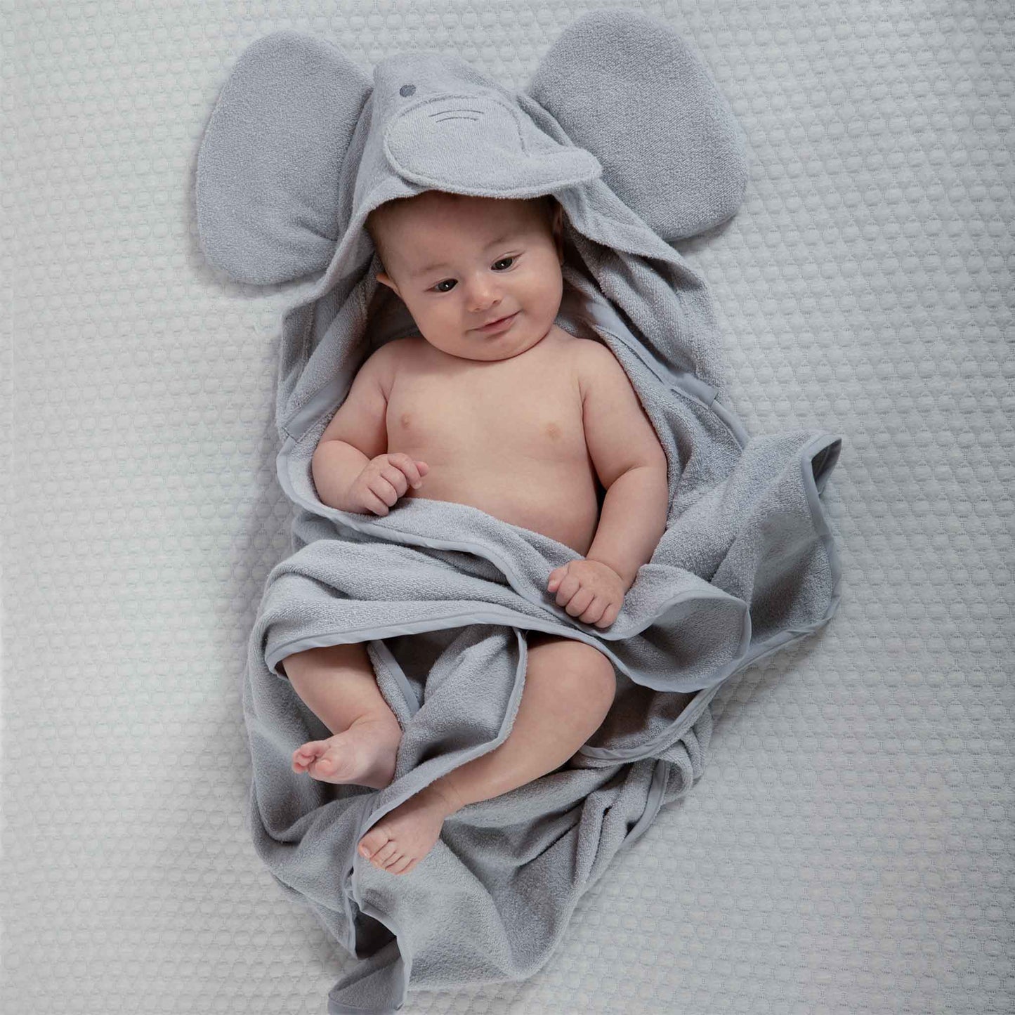 Toalla Elefante Gris