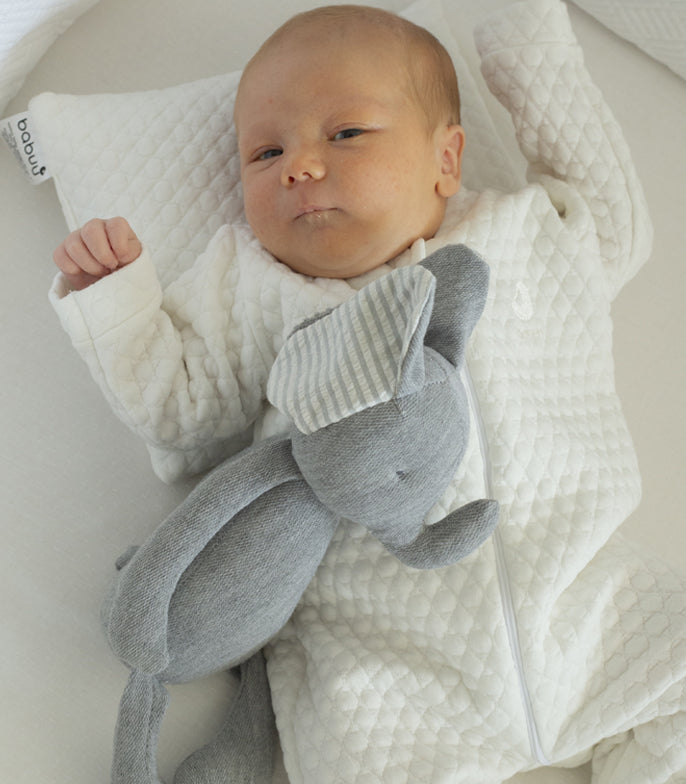 Caja peluche elefante con mini almohada